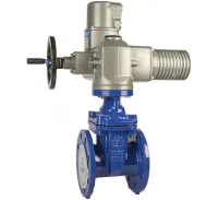 Задвижка чугунная с обрезиненным клином